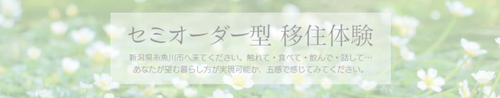 セミオーダー型移住体験