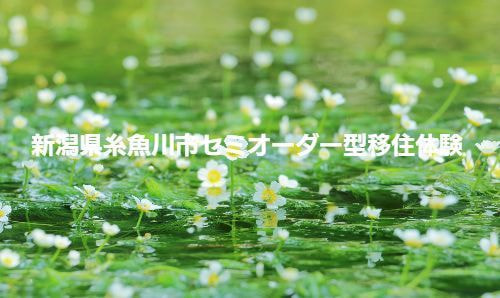 セミオーダー型移住体験