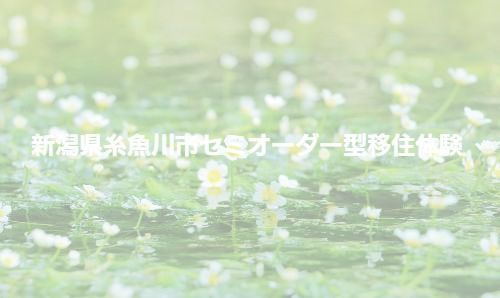 セミオーダー型移住体験