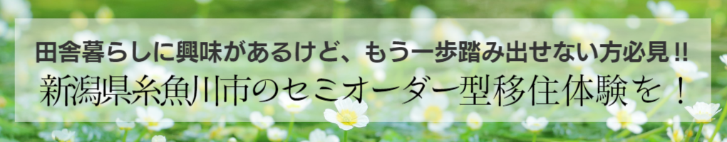 セミオーダー型移住体験